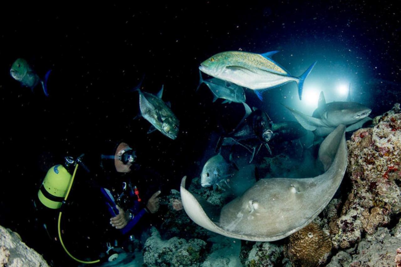 Hotel And Dive Center Roatan Yacht Club French Harbour Екстер'єр фото
