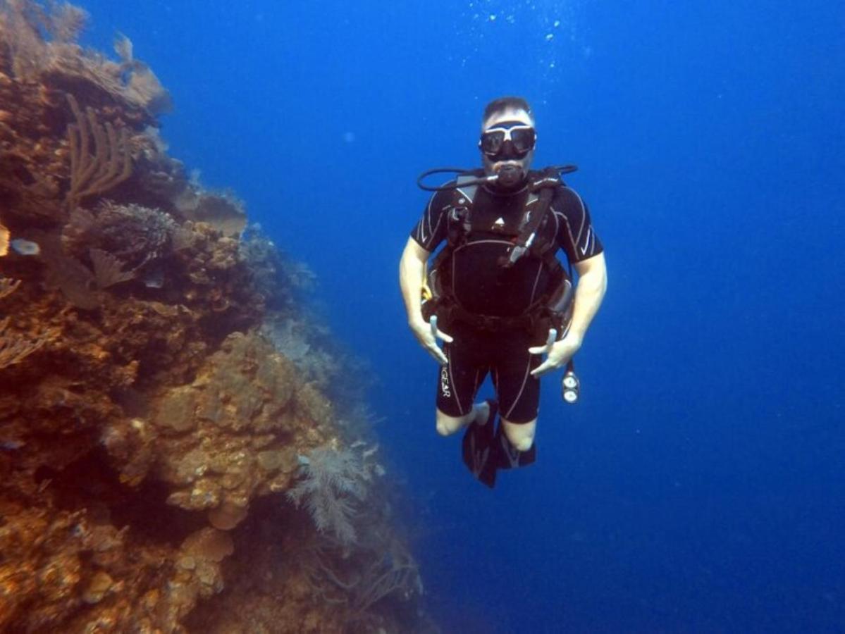 Hotel And Dive Center Roatan Yacht Club French Harbour Екстер'єр фото
